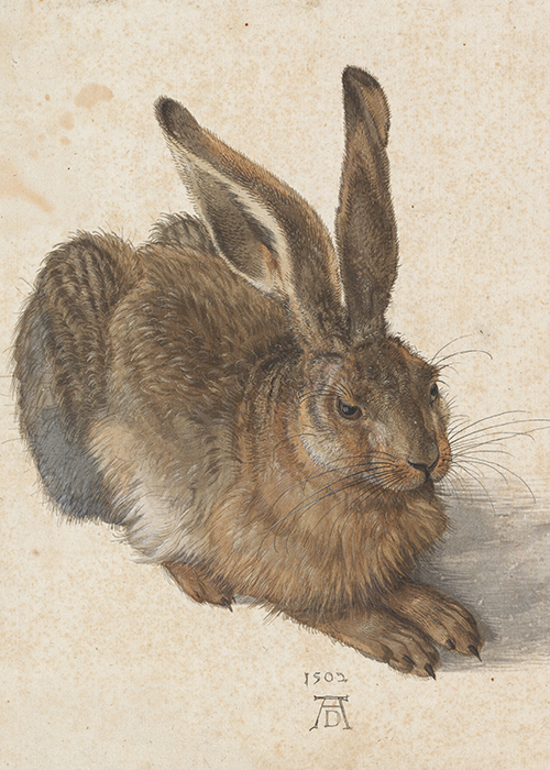 Albrecht Dürer